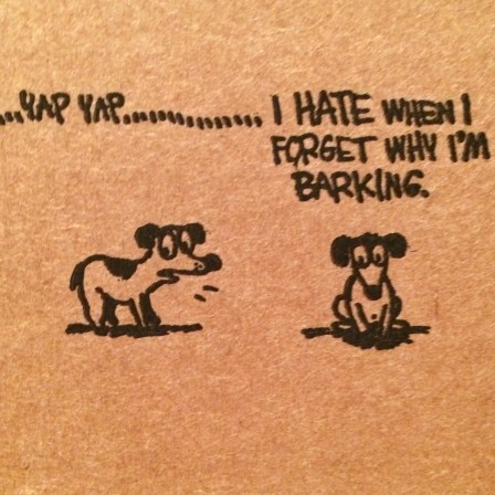 barkbox cartoon